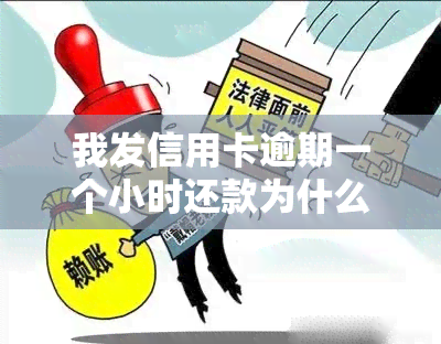 我发信用卡逾期一个小时还款为什么还收取利息，为何发信用卡逾期一小时也要收取利息？