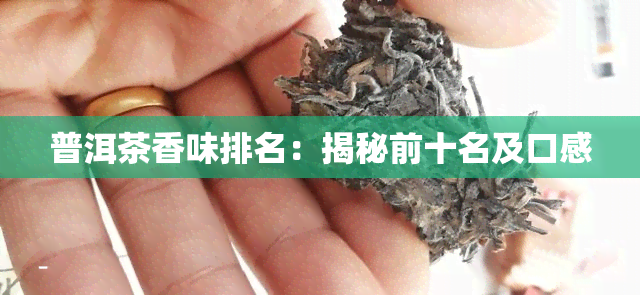 普洱茶香味排名：揭秘前十名及口感