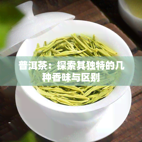 普洱茶：探索其独特的几种香味与区别