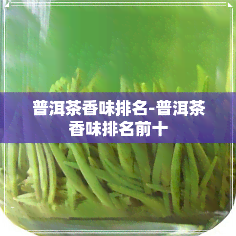 普洱茶香味排名-普洱茶香味排名前十