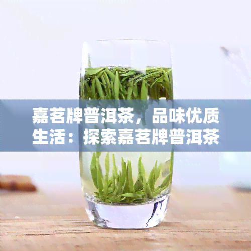 嘉茗牌普洱茶，品味优质生活：探索嘉茗牌普洱茶的魅力