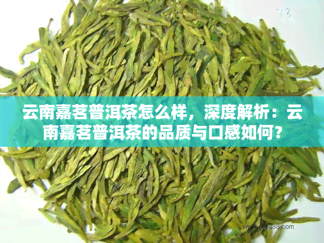 云南嘉茗普洱茶怎么样，深度解析：云南嘉茗普洱茶的品质与口感如何？