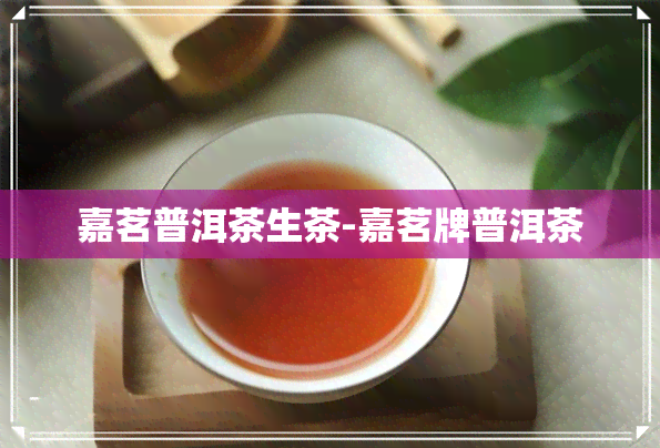 嘉茗普洱茶生茶-嘉茗牌普洱茶