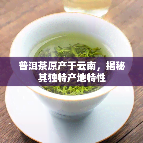 普洱茶原产于云南，揭秘其独特产地特性