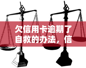 欠信用卡逾期了自救的办法，信用卡逾期，自救攻略在此！