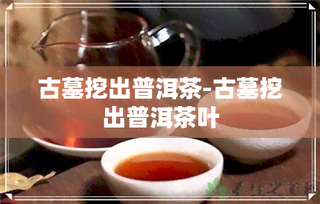 古墓挖出普洱茶-古墓挖出普洱茶叶