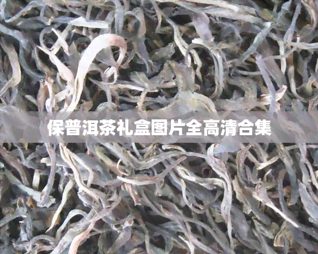 保普洱茶礼盒图片全高清合集