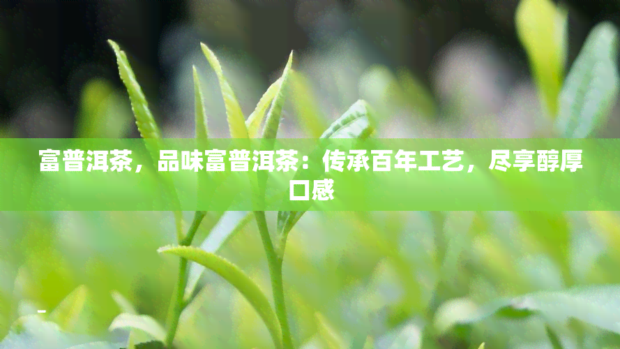 富普洱茶，品味富普洱茶：传承百年工艺，尽享醇厚口感