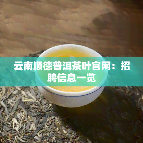 云南顺德普洱茶叶官网：招聘信息一览