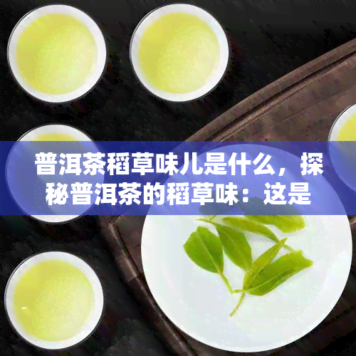 普洱茶稻草味儿是什么，探秘普洱茶的稻草味：这是一种独特的香气吗？