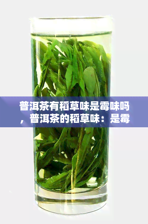 普洱茶有稻草味是霉味吗，普洱茶的稻草味：是霉味还是特殊香气？