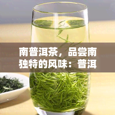 南普洱茶，品尝南独特的风味：普洱茶的魅力