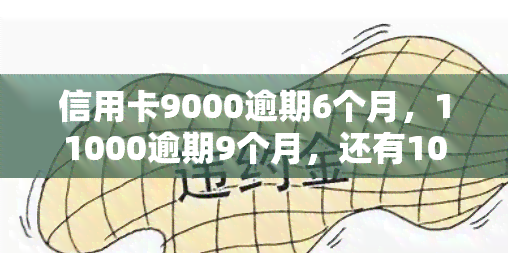 信用卡9000逾期6个月，11000逾期9个月，还有1000元逾期6个月