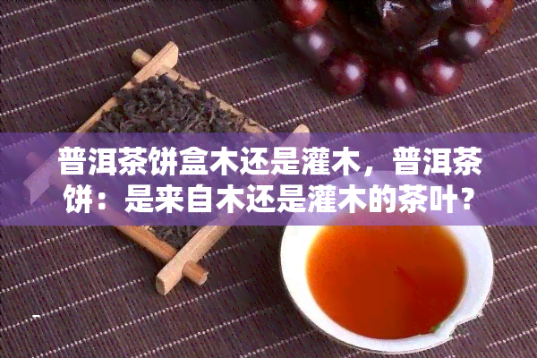 普洱茶饼盒木还是灌木，普洱茶饼：是来自木还是灌木的茶叶？