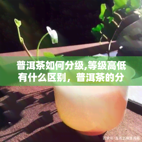 普洱茶如何分级,等级高低有什么区别，普洱茶的分级标准及其等级差异解析