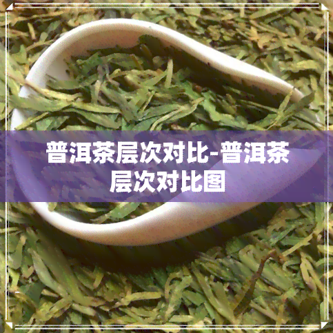 普洱茶层次对比-普洱茶层次对比图