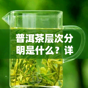 普洱茶层次分明是什么？详解其特性和含义