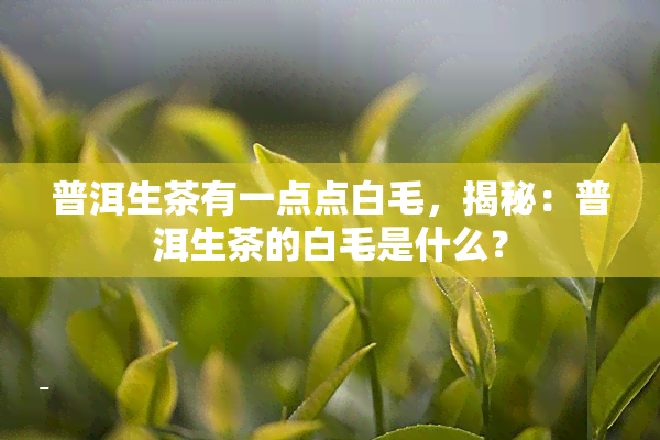 普洱生茶有一点点白毛，揭秘：普洱生茶的白毛是什么？