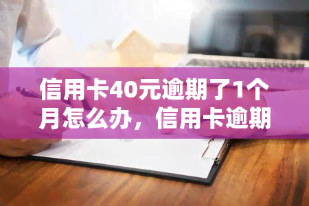 信用卡40元逾期了1个月怎么办，信用卡逾期40元一个月，应该怎么办？