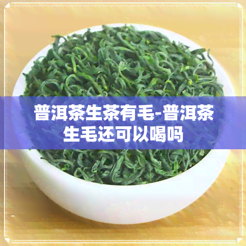 普洱茶生茶有毛-普洱茶生毛还可以喝吗