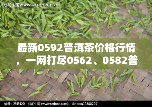 最新0592普洱茶价格行情，一网打尽0562、0582普洱茶价格信息！