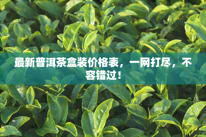 最新普洱茶盒装价格表，一网打尽，不容错过！