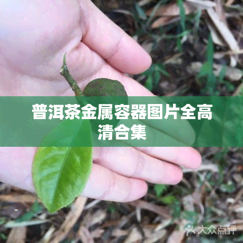 普洱茶金属容器图片全高清合集