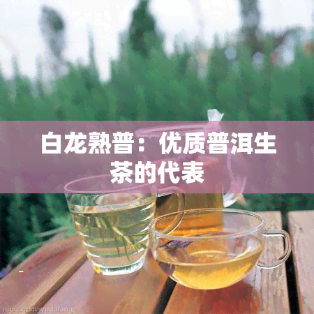 白龙熟普：优质普洱生茶的代表