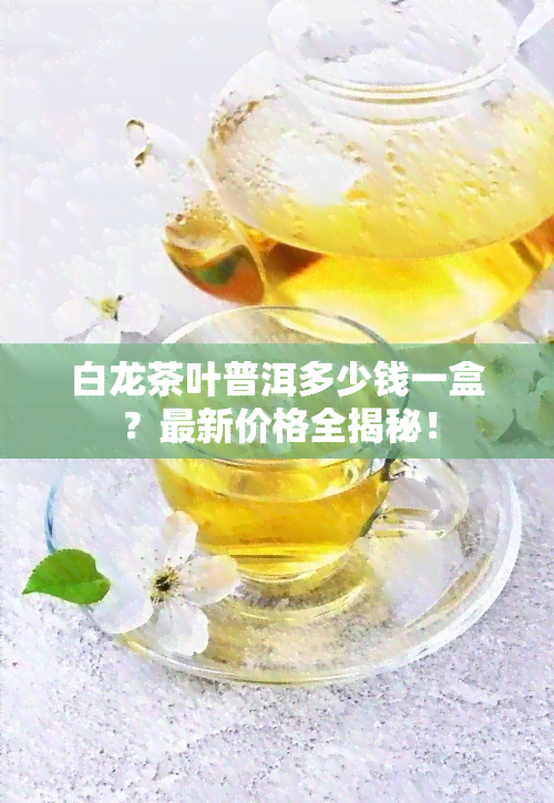 白龙茶叶普洱多少钱一盒？最新价格全揭秘！