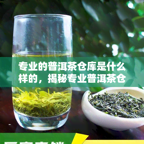 专业的普洱茶仓库是什么样的，揭秘专业普洱茶仓库：环境、设与管理要求