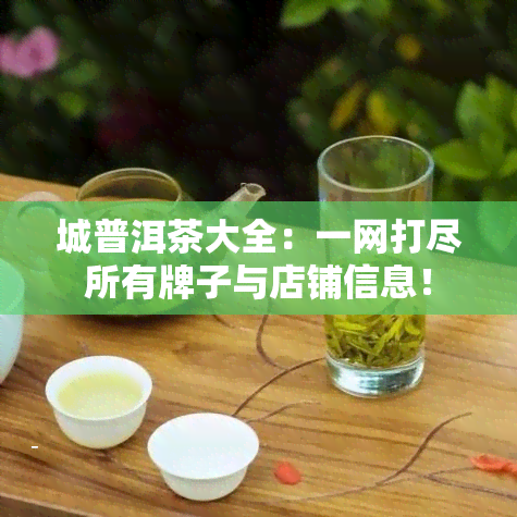 城普洱茶大全：一网打尽所有牌子与店铺信息！