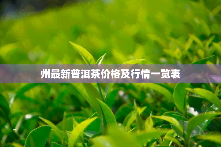 州最新普洱茶价格及行情一览表