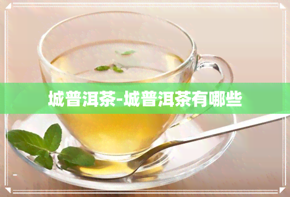 城普洱茶-城普洱茶有哪些