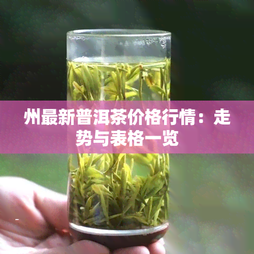 州最新普洱茶价格行情：走势与表格一览