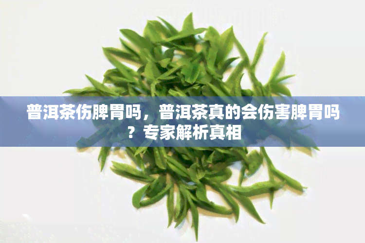 普洱茶伤脾胃吗，普洱茶真的会伤害脾胃吗？专家解析真相