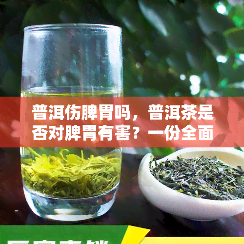 普洱伤脾胃吗，普洱茶是否对脾胃有害？一份全面的解答