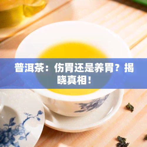 普洱茶：伤胃还是养胃？揭晓真相！