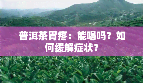 普洱茶胃疼：能喝吗？如何缓解症状？