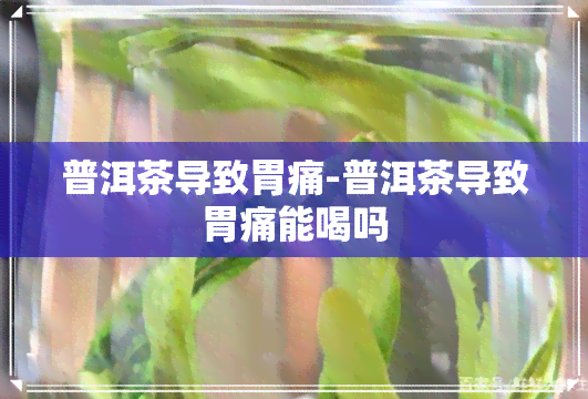 普洱茶导致胃痛-普洱茶导致胃痛能喝吗