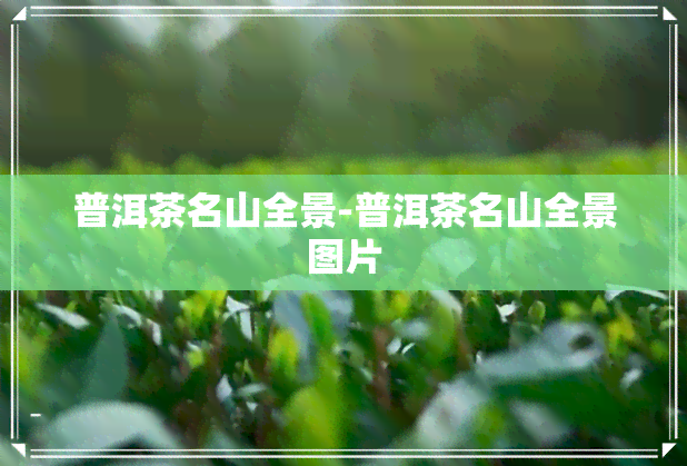 普洱茶名山全景-普洱茶名山全景图片