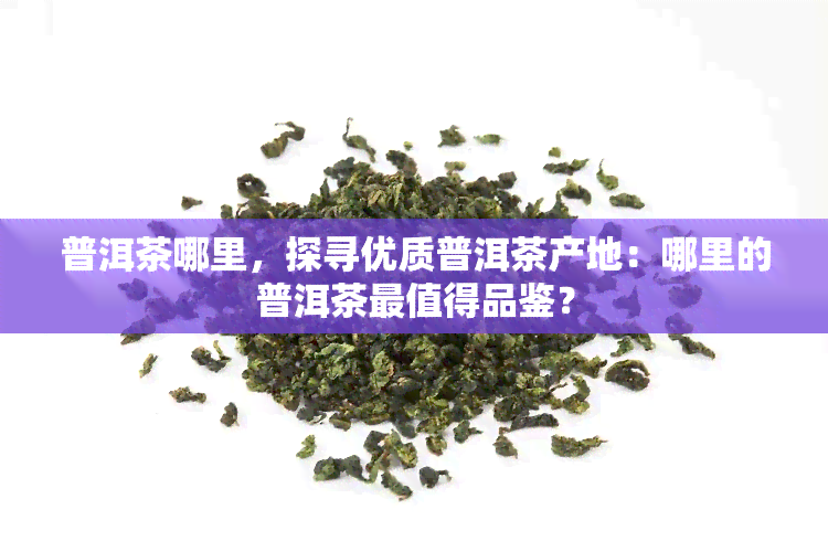 普洱茶哪里，探寻优质普洱茶产地：哪里的普洱茶最值得品鉴？