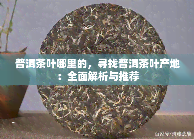 普洱茶叶哪里的，寻找普洱茶叶产地：全面解析与推荐