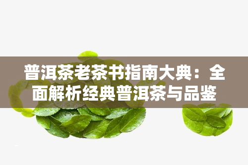 普洱茶老茶书指南大典：全面解析经典普洱茶与品鉴技巧