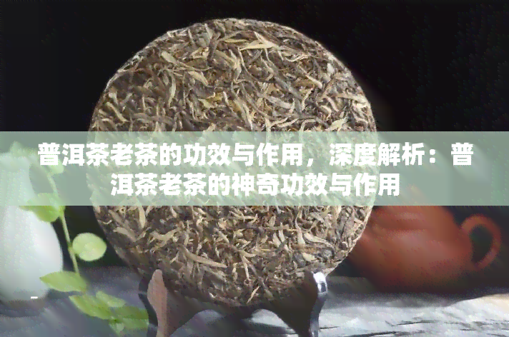 普洱茶老茶的功效与作用，深度解析：普洱茶老茶的神奇功效与作用