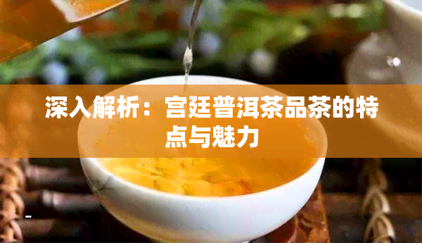 深入解析：宫廷普洱茶品茶的特点与魅力