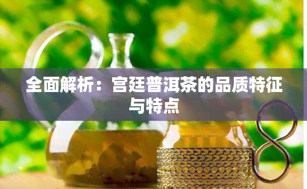 全面解析：宫廷普洱茶的品质特征与特点