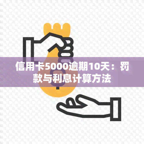 信用卡5000逾期10天：罚款与利息计算方法