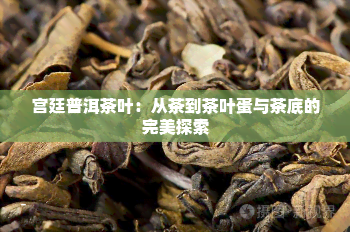宫廷普洱茶叶：从茶到茶叶蛋与茶底的完美探索