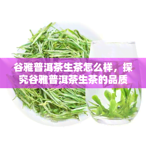 谷雅普洱茶生茶怎么样，探究谷雅普洱茶生茶的品质与口感