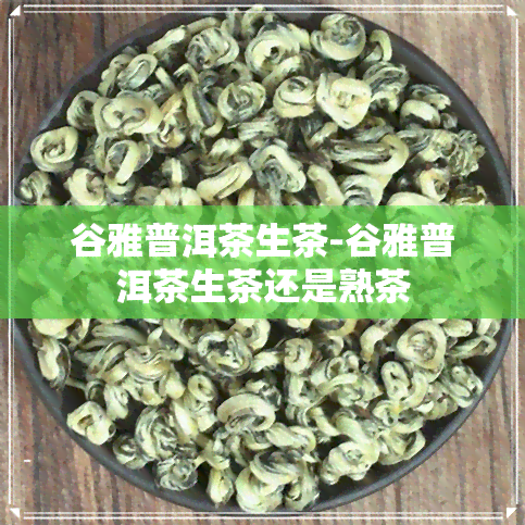 谷雅普洱茶生茶-谷雅普洱茶生茶还是熟茶